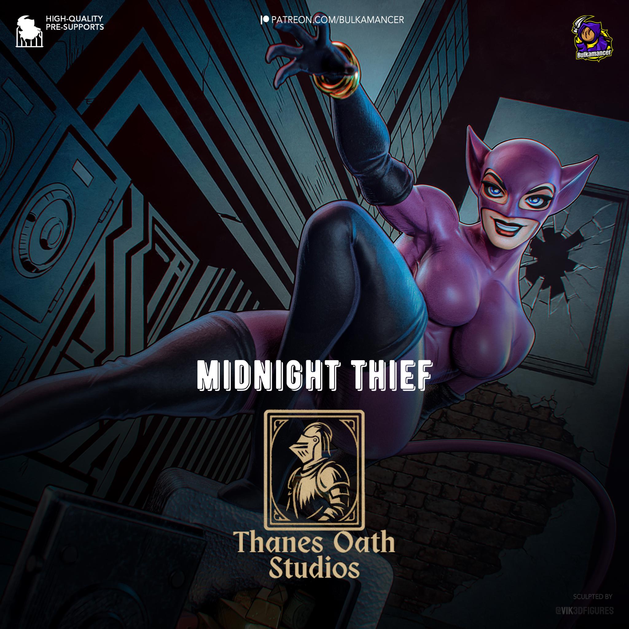 Midnight Thief - Master Thief Burglar Anti-Hero Catwoman Resin Figure 16K
